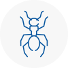 Ant Removals In Aylesbury