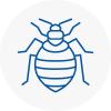 Bed Bug Extermination In Aylesbury