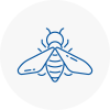 Bee Nest Removal Aylesbury