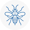 Aylesbury Hornet Nest Removals