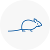 Mice Exterminators In Aylesbury