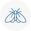 Moth Control Specialists In Aylesbury