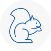 Aylesbury Rodent Removals