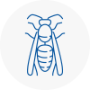 Aylesbury Wasp Nest Removal